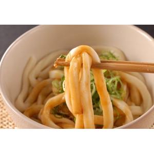 伊勢うどん10食入り(たれ付き/送料無料)の詳細画像2