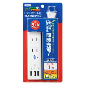 電源タップ 海外対応 YAZAWA 国内海外兼...の詳細画像2