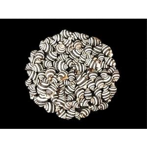 ノシガイ 約1.0〜1.5ｃｍ/50ｇ 貝 貝殻 シェル 小さな貝 ハンドメイド フォトフレーム アクセサリー デザイン