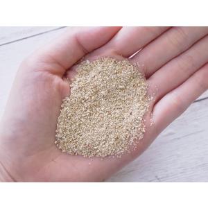 サンゴ砂#0 (0〜1mm) 1kg ヤドカリ...の詳細画像1