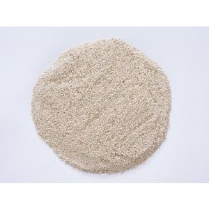 サンゴ砂#0 (0〜1mm) 1kg ヤドカリ...の詳細画像2