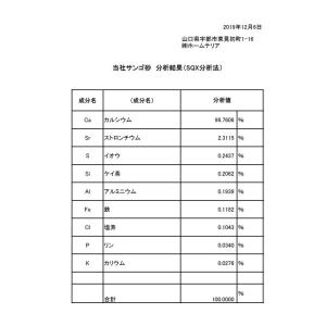 サンゴ砂#0 (0〜1mm) 1kg ヤドカリ...の詳細画像3