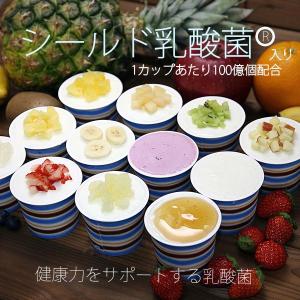 　お中元　アイスギフト フローズンヨーグルトシールド乳酸菌入り12個入りセット