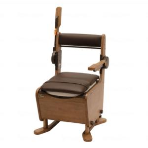 Panasonic（パナソニック） 家具調トイレ 座楽 ひじ掛け昇降 PN-L23707