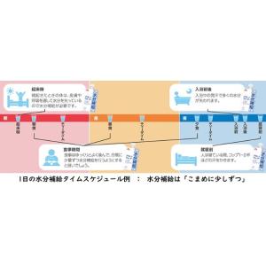 経口補水ゼリー アクトウォーター 300g×2...の詳細画像3