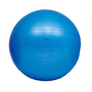 ボディーボール　65　H-7262　青　トーエイライト　エクササイズ トレーニング フィットネス