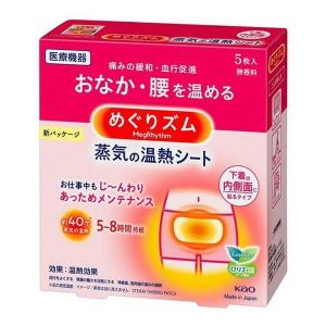 《花王》 めぐりズム 蒸気の温熱シート 下着の内側面に貼るタイプ　(5枚)　 返品キャンセル不可｜kaigonagomi