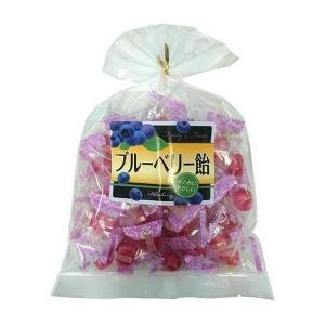おいしいのど飴ブルーベリー210g