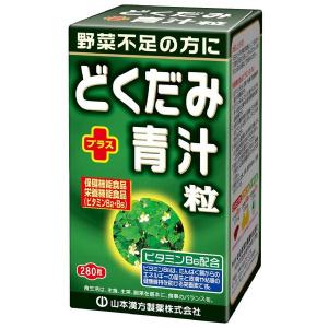 《山本漢方製薬》 【栄養機能食品】どくだみプラス青汁粒 (280粒)｜kaigonagomi