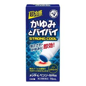 【第2類医薬品】《近江兄弟社》 メンターム ペンソールHα 70mL｜kaigonagomi