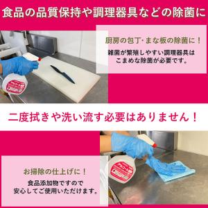 サラヤ アルペットNV 5L 食品添加物アルコ...の詳細画像2