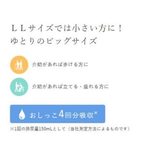 はくパンツ BIG 3L 14枚×8袋 (セッ...の詳細画像4