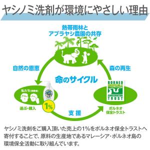 サラヤ 中性洗剤 ヤシノミ洗剤 5kg×3本 ...の詳細画像5