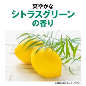 サラヤ シャボネットP-5 手洗い用石けん液 ...の詳細画像3