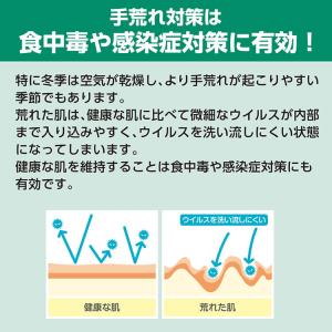 サラヤ シャボネットモイスト 5kg×3本 (...の詳細画像4