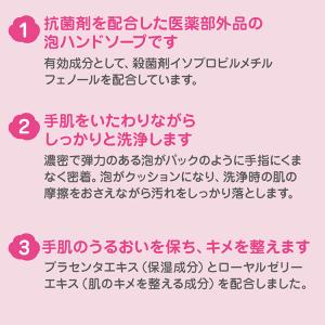サラヤ ホイップウォッシュ 無香 5kg SA...の詳細画像3