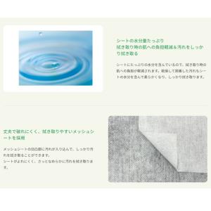 ネピアテンダー ぬれタオル 40枚入 王子ネピ...の詳細画像2