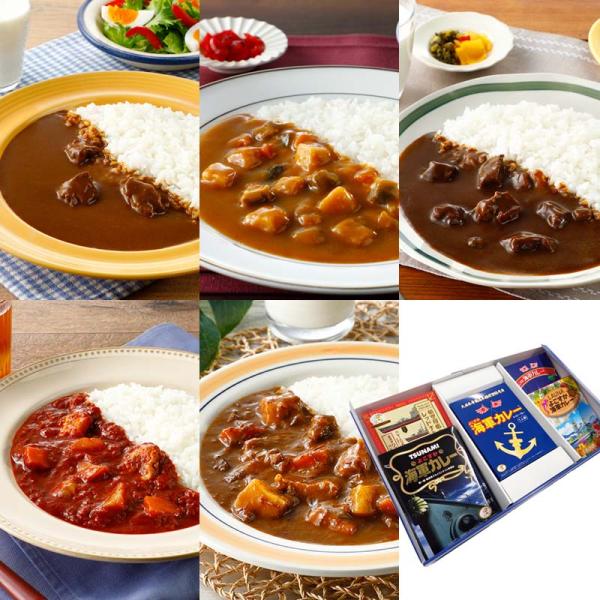 カレーの街よこすか名店食べ比べプレミアムBOX 5食入り レトルト ビーフ チキン よこすか海軍カレ...