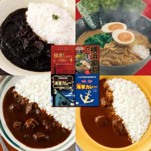 調味商事 よこすか海軍カレー ネイビーブルー 6食入 レトルト カレー