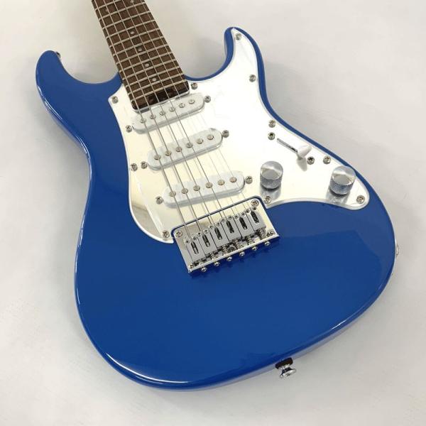 BanG Dream! SNAPPER Tae Mini Poppin'Party 花園たえ Mod...