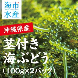 【茎付き】海ぶどう 2パック（100g×2パック）タレ付き 沖縄県 うるま市 与那城産 ［送料無料］