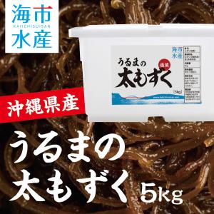 もずく 沖縄 うるまの太もずく 5kg （塩蔵モズク） 海市水産 【沖縄特産品】 〜 ヘルシー食材 〜