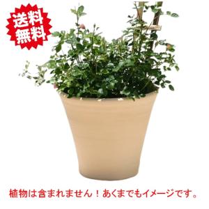 送料無料　スペイン製　アンジェリータ 27cm 2個セット テラコッタ 植木鉢 素焼き鉢 陶器鉢　北海道・沖縄・離島出荷不可｜kaikai-shop