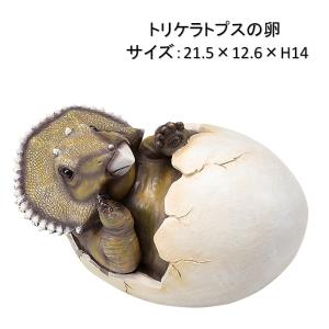 恐竜オブジェシリーズ　トリケラトプスの卵　2個セット　21.5×12.6×H14cm　置物 ディスプレー オーナメント　リアル　北海道・沖縄・離島出荷不可｜kaikai-shop
