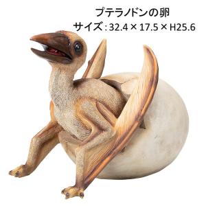 送料無料 恐竜オブジェシリーズ プテラノドンの卵　32.4×17.5×H25.6cm 置物 ディスプレー オーナメント リアル エイチツーオー 北海道・沖縄・離島出荷不可｜kaikai-shop