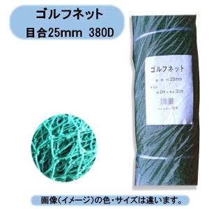 送料無料　法人様限定　シンセイ　ゴルフネット　380D　25MM　2×30Ｍ　紙管巻き　1本 沖縄・離島出荷不可｜kaikai-shop