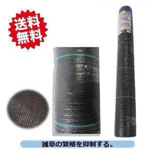 送料無料　草よけ・防草シート0.5m×100m　2本セット　200ｍセット　抗菌剤・ライン入り　耐久年数2〜3年 シンセイ　沖縄・離島出荷不可｜kaikai-shop