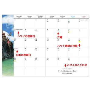 2027年版 ハワイアン手帳 Hawaii L...の詳細画像5