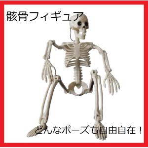 ガイコツ 骸骨 フィギュア オブジェ デッサン 模型 インテリア ハロウィン｜kaimed