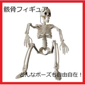 ドクロ SKULL オブジェ ガイコツ 置物 骸骨 スカル 邪気を払う「魔除け