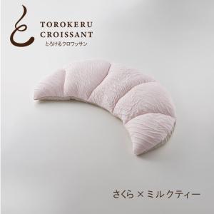 アンナ・エミリア 洗える羽毛肌掛けふとん2枚セット 0423049 送料無料
