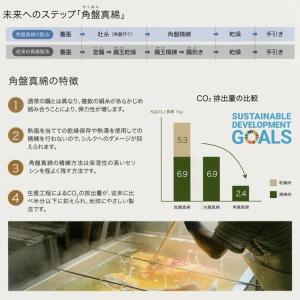 ロマンス小杉 大洲繭 京都丹後手引き 真綿肌掛...の詳細画像3