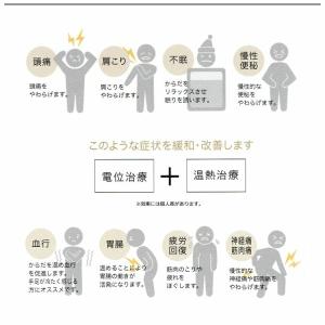 【専用カバープレゼント】ロマンス小杉 ヘルスナ...の詳細画像1