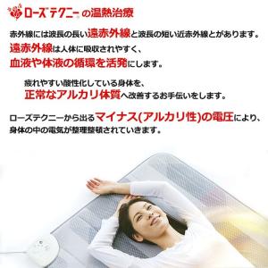 【光触媒加工無料】西川 家庭用電気治療器 ロー...の詳細画像2
