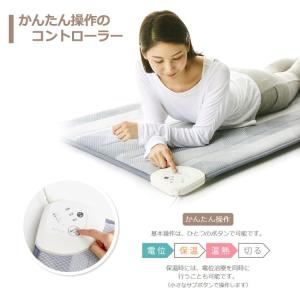 【光触媒加工無料】西川 家庭用電気治療器 ロー...の詳細画像4