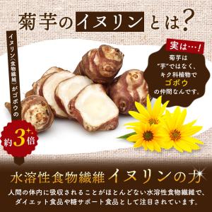 有機 菊芋 国産粉末 有機JAS認定 イヌリン...の詳細画像2