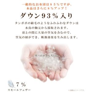ダウンケット 甲州羽毛ふとん ハンガリー産ホワ...の詳細画像1