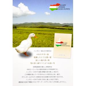 ダウンケット 甲州羽毛ふとん ハンガリー産ホワ...の詳細画像3