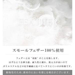 抗菌防臭加工無料 50×50cm フェザー10...の詳細画像2