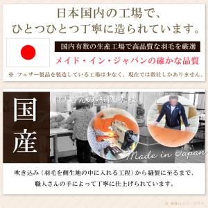 抗菌防臭加工無料 50×50cm フェザー10...の詳細画像3