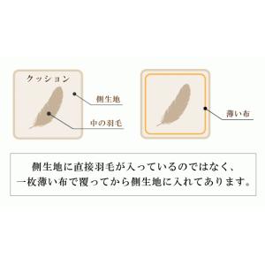 抗菌防臭加工無料 50×50cm フェザー10...の詳細画像4
