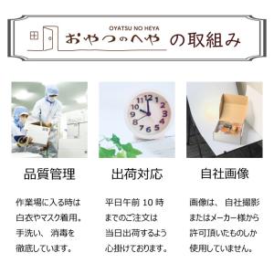 業務用 レモン 粉末 レモネード 瀬戸内産 レ...の詳細画像5