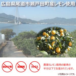 業務用 レモン 粉末 レモネード 瀬戸内産 レ...の詳細画像1