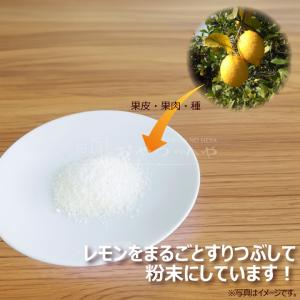 業務用 レモン 粉末 レモネード 瀬戸内産 レ...の詳細画像2