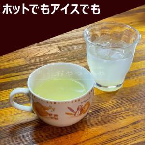 業務用 レモン 粉末 レモネード 瀬戸内産 レ...の詳細画像4