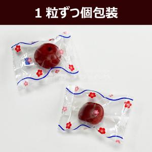 あかぎの 種とり カリカリ梅 210g×2(約...の詳細画像3